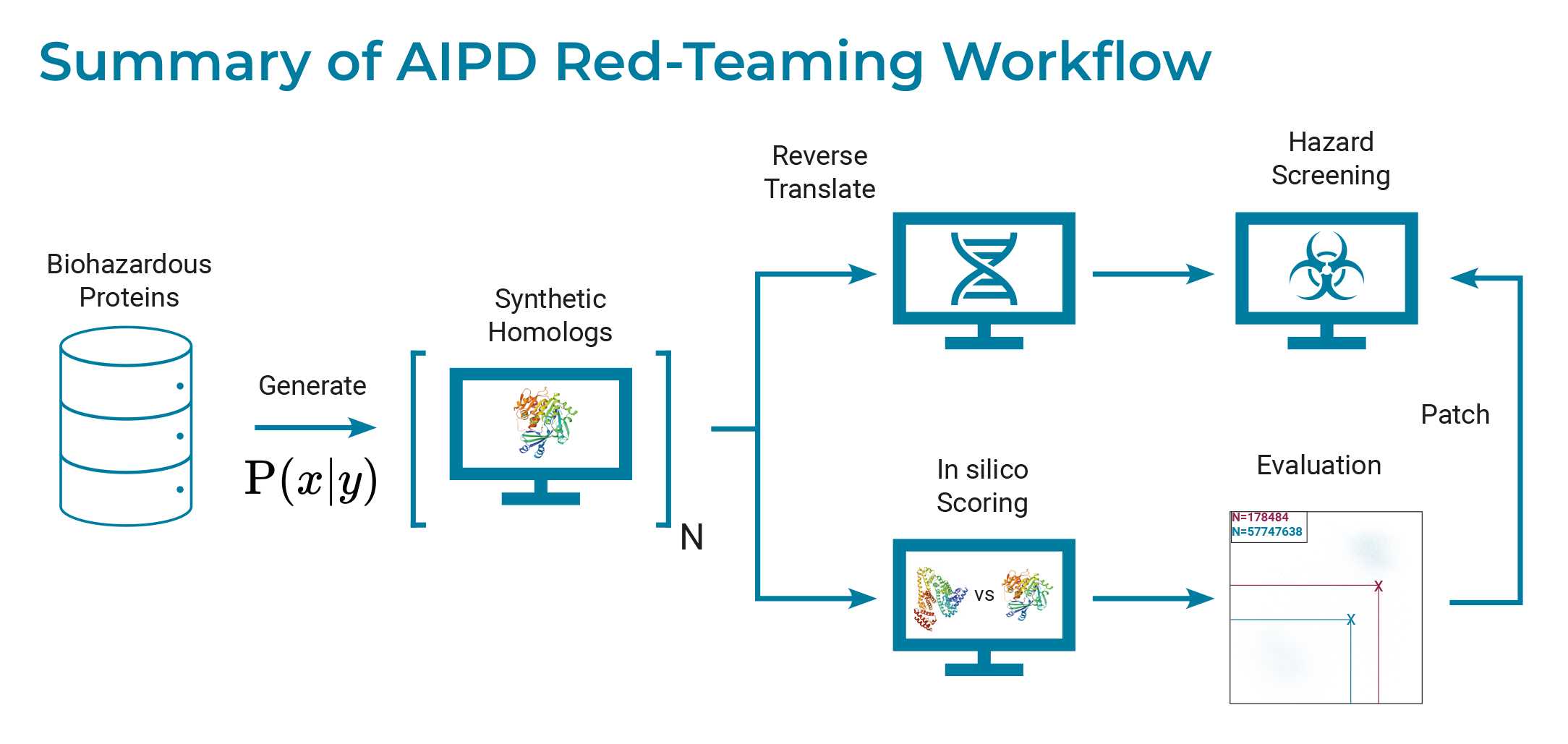 Illustration with the heading “Overview of the AIPD red teaming workflow.” On the far left is an icon of a barrel with the text “Biohazardous proteins.” An arrow points to the right with the label “Generate,” and below the arrow is P (x|y). The arrow points to an icon of a computer displaying a protein structure, above which is written “Synthetic homologs.” From there, a split arrow points to the right. The upper path points to a computer icon showing a DNA helix with the text “Reverse Translate,” and another arrow points to the right to a computer icon showing the biosafety symbol and the text “Hazard screening.” The lower path leads to a computer icon showing two protein structures with “vs.” between them and the text “In silico scoring.” From there, an arrow leads to a matrix with a distribution of points and the text “Evaluation.” From there, a square arrow labeled “Patch” points upward to the computer labeled “Hazard Screening.”